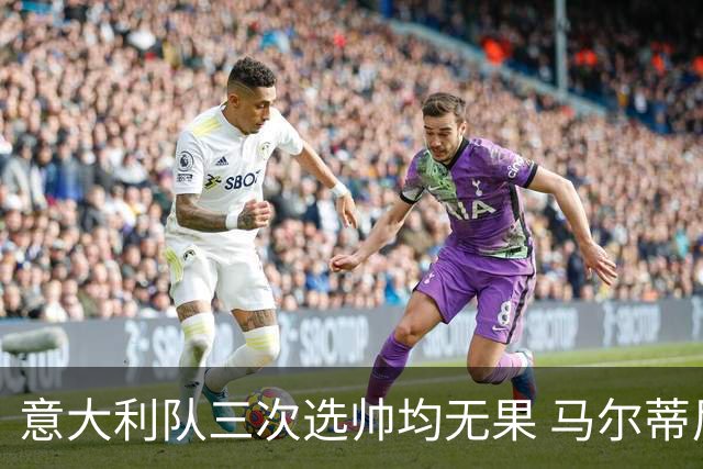 意大利队三次选帅均无果 马尔蒂尼上任16天后辞职